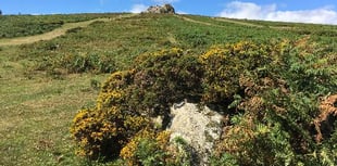Fight January blues with an escape to Dartmoor