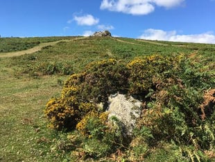 Fight January blues with an escape to Dartmoor