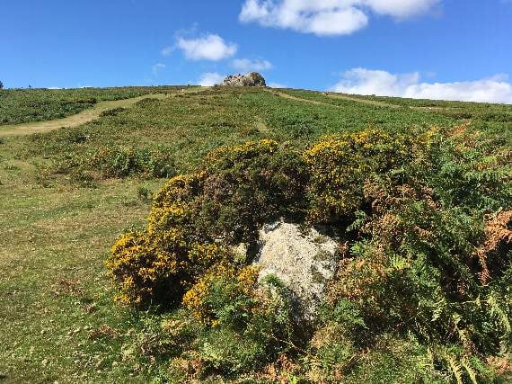 Fight January blues with an escape to Dartmoor