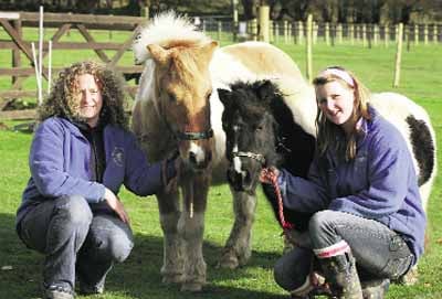 Outpouring of love as the Tamar Valley Donkey Park announces closure
