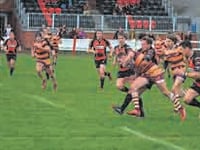 Okes kick themselves after chance to win at Wellington