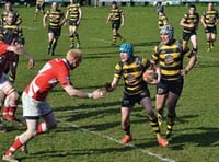 Bit of a bonus for Tawton