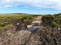 New book launched on Dartmoor tors