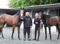 Another success for trainer  Pauline