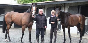 Another success for trainer  Pauline