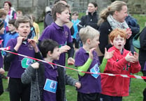 No running out of steam in schools’ cross country