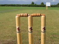 Rain disrupts Whitchurch derby match but seconds win against Shaldon