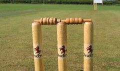 Back to back losses for Tavistock Cricket Club