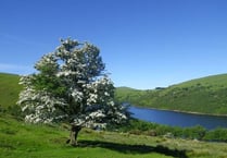 Consultation begins on potential parking charges at Meldon Reservoir — have your say