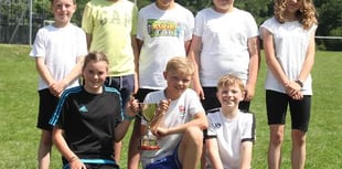 Dartmoor Cricket Cup
