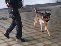 Spending a day with Devon and Cornwall's police dog unit