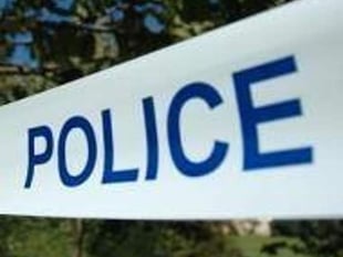 Driver who died in Bratton Clovelly collision is named