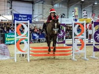 Westcountry Equine Fair  all saddled up and ready