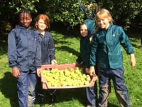 Call for apples for pressing at Iddesleigh's Nethercott House