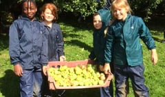 Call for apples for pressing at Iddesleigh's Nethercott House