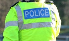 Assault at a popular pub in Tavistock and an attempted theft of nearly £2,000 worth of booze, just some of the incidents reported to West Devon police