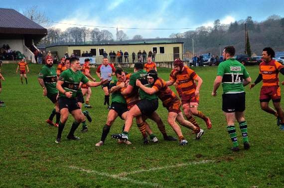 The Okes fell their Forest visitors