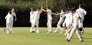 Lewdown bowlers tear into Kenn