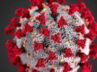 Devon has lowest Covid-19 infection rates in whole of England