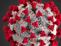Devon has lowest Covid-19 infection rates in whole of England