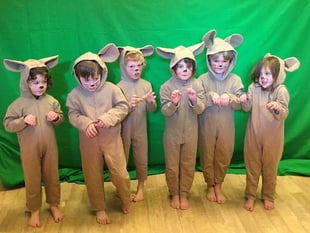 Drama project delivers Christmas magic to West Devon schools