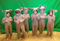 Drama project delivers Christmas magic to West Devon schools