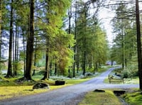 Beauty spot recovering after camping ban