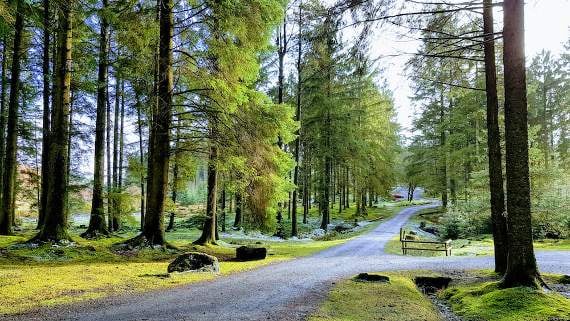 Beauty spot recovering after camping ban