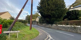 Police appeal for witnesses after man is seriously injured in Tavistock