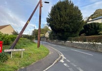 Police appeal for witnesses after man is seriously injured in Tavistock