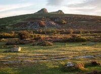 Emergency powers have been issued by Dartmoor National Park to stop wild camping at Bellever
