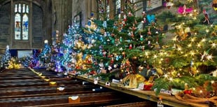 Christmas tree festival in Tavistock is cancelled but alternatives planned