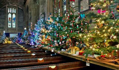 Christmas tree festival in Tavistock is cancelled but alternatives planned