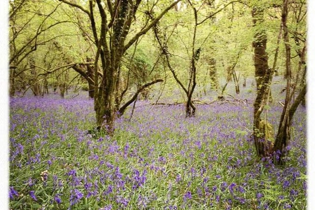 OKEHAMPTON FRIENDLY CIRCLE: Talks on local wildlife spots