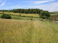 Is greater protection for Dartmoor on the cards following the rise of anti social behaviour during the pandemic?