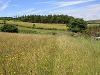 Is greater protection for Dartmoor on the cards following the rise of anti social behaviour during the pandemic?