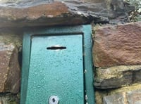 Appeal made after Dartmoor pony donation box is destroyed and £350 taken