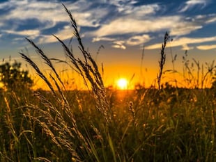 Workshop for farmers coming up in Okehampton