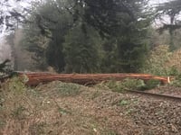 Storm Eunice: All trains suspended from Penzance to Paddington for the rest of the day