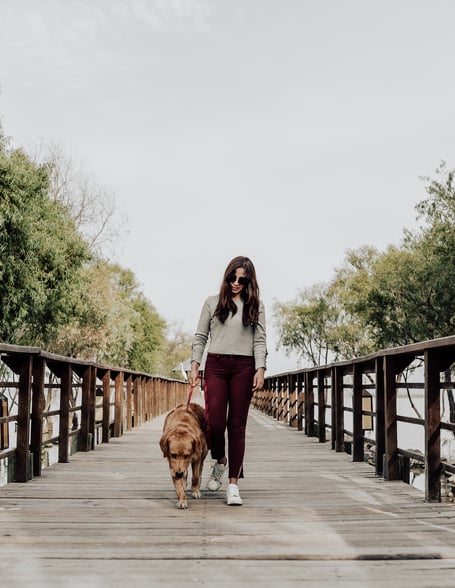 Dog walk