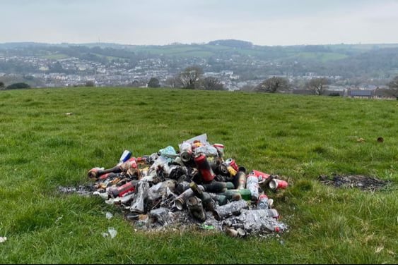 Litter