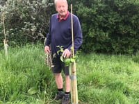 Forest project apple trees sabotaged