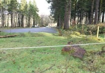 Plymouth man jailed for life for murder of teenage girl on Dartmoor