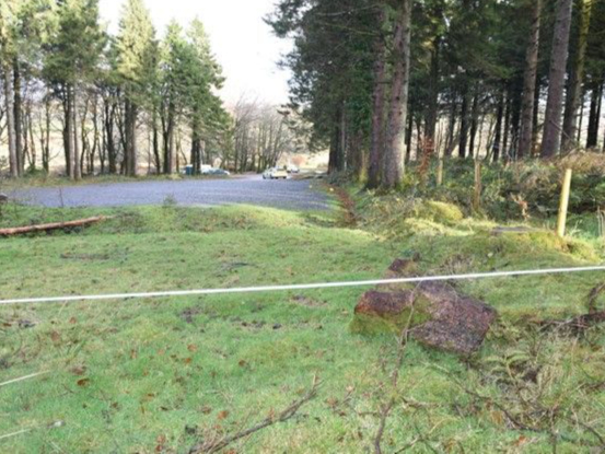 Plymouth man jailed for life for murder of teenage girl on Dartmoor