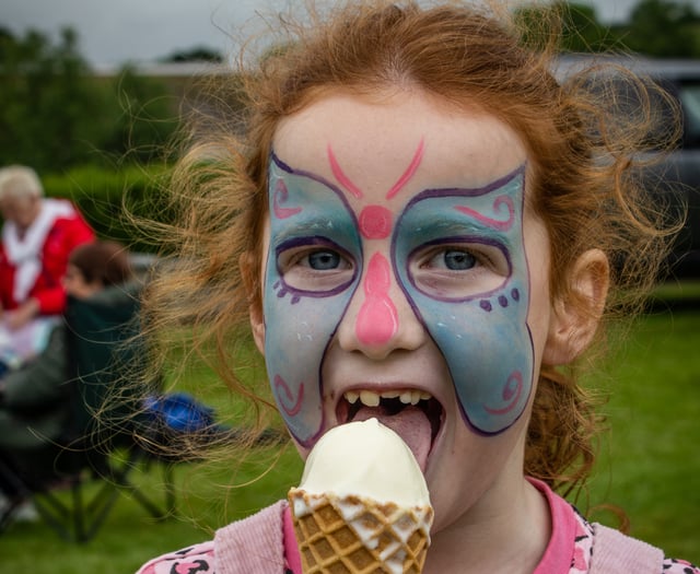 Okehampton parties in the park at Rotary Club Fair