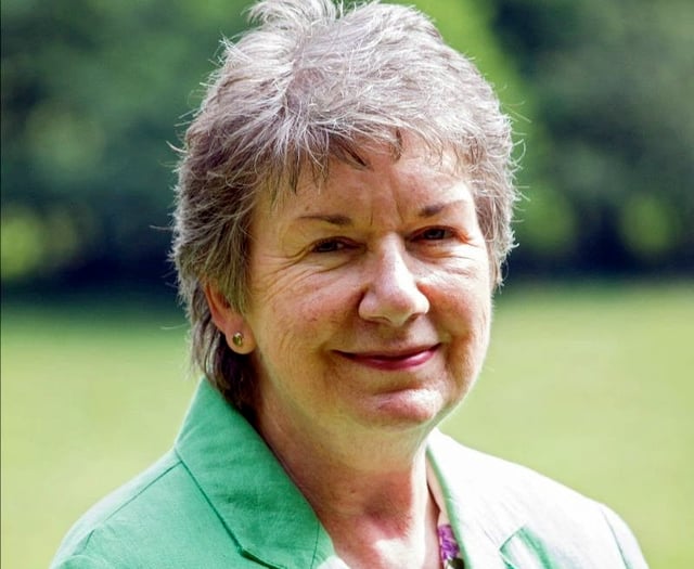 DNPA chair stays committed to future