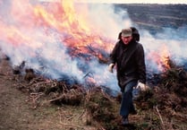 Why do Dartmoor Commoners continue to burn the moor?