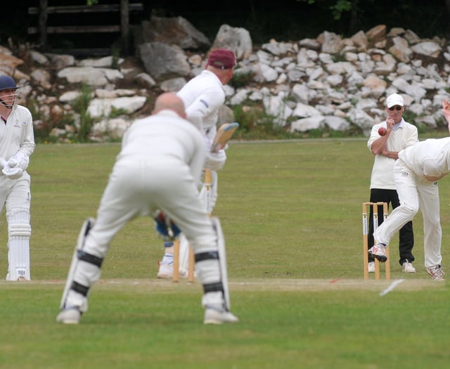 Wayfarers drop into relegation scrap