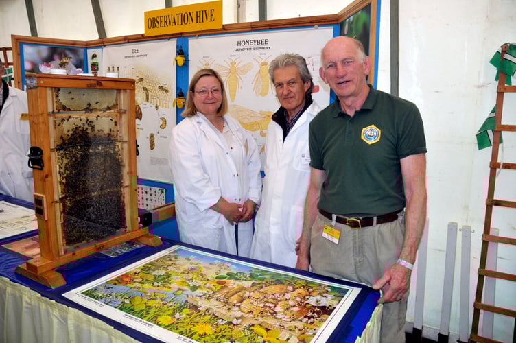 Devon Beekeepers’ Association 