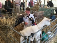 ‘Goats will always be my pride and joy’